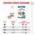 Royal Canin Ageing 15+ Mousse Royal Canin Ageing 15+ Mousse