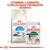 ROYAL CANIN Home Life Indoor 7+ ração seca e ROYAL CANIN Instinctive 7+ saqueta para gatos. Texto: Combine 1 saqueta com os seus croquetes diários.