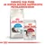 ROYAL CANIN Home Life Indoor Long Hair -kuivaruoka ja ROYAL CANIN Instinctive 85 g -märkäruokapussi. Yhdistä yksi pussi ja sopiva määrä nappuloita päiväannokseksi.
