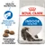 Pachet Royal Canin Indoor Long Hair, text vizibil: Health Nutrition, Reducerea ghemurilor de blană, Dimensiune adaptată a crochetelor, imagine cu crochete și pisică cu păr lung. Pachet Royal Canin Indoor Long Hair, text vizibil: Health Nutrition, Reducerea ghemurilor de blană, Dimensiune adaptată a crochetelor, imagine cu crochete și pisică cu păr lung.