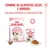 Royal Canin Kitten