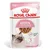Royal Canin Kitten em molho