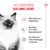 Royal Canin Kitten i gelé
