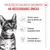 Royal Canin Sterilized Kitten em geleia