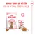Royal Canin Sterilised Kitten i gelé Royal Canin Sterilised Kitten i gelé