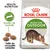 Sachet Royal Canin Active Life Outdoor pour chat, texte visible : Health Nutrition, Soutien de l’activité, Taille de croquette adaptée. Croquettes rondes et image d’un chat tigré. Sachet Royal Canin Active Life Outdoor pour chat, texte visible : Health Nutrition, Soutien de l’activité, Taille de croquette adaptée. Croquettes rondes et image d’un chat tigré.