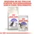 ROYAL CANIN STERILISED croquettes et sachet fraîcheur pour chats stérilisés, texte en haut de l’image en allemand : Ergänzen Sie die tägliche Portion Trockennahrung durch einen Frischebeutel