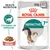 Royal Canin Instinctive 7+ molho, complexo de vitalidade, embalagem de 12 saquetas de 85 g para gatos, imagem de gato e comida em molho visíveis.