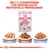 Royal Canin Kitten mousse