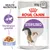 Pachet Royal Canin Sterilised pentru pisici, 12 plicuri x 85g, aspic. Text vizibil: Health Nutrition, Menținerea greutății, STERILISED.