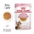 Royal Canin FHN Kitten Sterilised i gelé - 12 x 85 g Royal Canin FHN Kitten Sterilised i gelé - 12 x 85 g