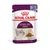 Royal Canin Sensory Smell kattenvoer, 85 g, stukjes in gelei. Afbeelding van kat en voer op de verpakking. Tekst: Feline Health Nutrition.