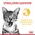 STIMULATION GUSTATIVE. Stimule le sens particulier du goût chez les chats.