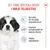 Royal Canin Giant Puppy Royal Canin Giant Puppy
