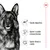 Royal Canin Maxi Adult