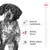 Royal Canin Medium Adult 7+