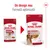 Royal Canin Medium Adult 140g, prezentare design vechi și nou al ambalajului. Text vizibil: Un design nou, Formulă optimizată, Gravy-Salsa, Muscle mass support.