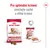 Pro optimální krmení smíchejte suché a vlhké krmivo. Royal Canin medium ageing 10+ pro psy 11–25 kg, balení granulí a konzervy s masem na talíři.