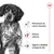 Manutenção da massa muscular, defesas naturais, suporte à vitalidade ao longo da vida. Texto junto a ícones informativos ao lado de um cão. Marca Royal Canin visível no canto superior direito.