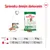 Sprievodca denným dávkovaním Royal Canin Mini Adult: pre psa 2 kg ½ konzervy + 23 g, 6 kg ½ konzervy + 84 g, 10 kg ½ konzervy + 134 g suchého krmiva denne.