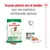 Associez aliments secs et humides pour une expérience nutritionnelle optimale. Sacs et boîte Royal Canin mini adult jusqu’à 10 kg, croquettes et pâtée visibles.
