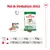 Mod de întrebuințare zilnică Royal Canin Mini Ageing 12+: tabel hrănire pentru câini 2 kg (½ + 23 g), 6 kg (½ + 85 g), 10 kg (½ + 136 g) cu hrană umedă și uscată.