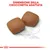 Royal Canin Giant Junior Crocchette per cane