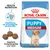Royal Canin Medium Puppy Royal Canin Medium Puppy