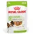 Royal Canin x-small adult hondenvoer in saus, 85 g. Voor honden tot 4 kg, vanaf 10 maanden. Tekst: Gravy-Sauce-Soße, Healthy immune system. Afbeelding van voer en kleine hond.