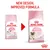 Royal Canin Mother & Babycat packaging update shown with new design and improved formula text, displaying old and new product bags side by side.