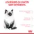 Les besoins du chaton sont différents : système immunitaire fragile, période de découverte, système digestif sensible. Marque Royal Canin visible en bas à droite.