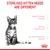 Sterilised kitten needs are different: fragile immune system, risk of weight gain, delicate digestive system.