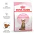 ROYAL CANIN KITTEN STERILISED 6–12 months, silný imunitní systém, kontrola růstu a hmotnosti, upravená velikost granulí, obrázek kotěte na obalu, fáze 4
