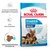 ROYAL CANIN Starter Mother & Babydog MAXI 1–2 months kutyatáp csomag, német juhászkutya kölykökkel, visszanedvesíthető tápszemcse, erős immunrendszer, egészség támogatása ROYAL CANIN Starter Mother & Babydog MAXI 1–2 months kutyatáp csomag, német juhászkutya kölykökkel, visszanedvesíthető tápszemcse, erős immunrendszer, egészség támogatása