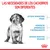 Las necesidades de los cachorros son diferentes: sistema inmunitario frágil, periodo de aprendizaje y entrenamiento, sistema digestivo delicado.
