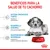 Beneficios para la salud de tu cachorro: sistema inmunitario fuerte (vitaminas y antioxidantes), desarrollo cerebral (ácido graso omega-3 DHA), mantenimiento del microbioma (prebióticos y proteínas altamente digestibles). Royal Canin.
