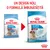 Royal Canin Starter Mother & Babydog Medium 11–25 kg, design vechi și nou, text: Un design nou, o formulă îmbunătățită. Ambalaje cu câini vizibile pe ambele pungi.
