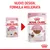 Royal Canin Kitten 85 g, nuovo design e formula migliorata. Confezioni per gatti fino a 12 mesi, visibile testo: 'No preservatives', 'In gravy'. Immagine di gatto su entrambe le confezioni.