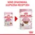 Nowe opakowanie karmy Royal Canin Kitten 85 g, ulepszona receptura. Porównanie starego i nowego wyglądu saszetki z widocznym napisem 'Up to 12 months'.