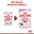 Comparison of old and new Royal Canin Kitten food packaging, showing updated design and improved formula for kittens up to 12 months. Text: New design, improved formula.