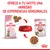 ROYAL CANIN Kitten Sterilised 6-12 months pienso y alimento húmedo, envases de 85 g y bolsa grande, cuenco rojo con comida, texto: Ofrece a tu gatito una variedad de experiencias sensoriales.
