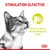 Texte : STIMULATION OLFACTIVE. Stimule l’odorat très développé des chats. Illustration d’un chat et d’une gamelle. Marque Royal Canin visible en bas à droite.