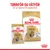 Royal Canin Shih Tzu Adult Mousse