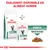 Royal Canin Veterinary Diabetic pour chats, croquettes et sachet humide. Texte : Également disponible en aliment humide, Diabetic, émincé en sauce.