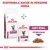Royal Canin Early Renal per gatti, disponibile anche in versione umida. Confezione secca e bustina umida visibili, testo: Early Renal, Fettine in salsa.