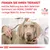 Fragen Sie Ihren Tierarzt, welche Nahrung aus dem Veterinär-Sortiment von Royal Canin die richtige Wahl für Ihren Hund ist. Logo: Veterinary Nutrition.
