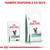 Royal Canin Veterinary Diabetic para gatos, disponible en formato húmedo y seco. Texto visible: 'TAMBIÉN DISPONIBLE EN SECO', 'THIN SLICES IN GRAVY'.