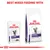 Best mixed feeding with Royal Canin Expert Neutered Balance wet food and Neutered Satiety Balance dry food, as shown on the packaging.