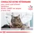 Consultez votre vétérinaire pour savoir quel aliment diététique ROYAL CANIN est adapté à votre chat. VETERINARY NUTRITION.