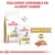 Royal Canin URINARY S/O AGEING 7+ croquettes et aliment humide pour chien, texte : également disponible en aliment humide, LOAF visible sur l’emballage et le produit.